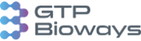 logo-gtp